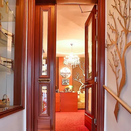 Senatus - Special Class Istanbul
