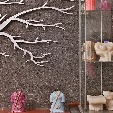 Отель Senatus - Special Class