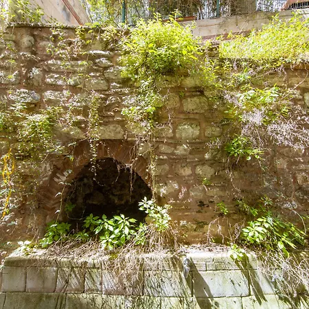 Отель Senatus - Special Class Стамбул